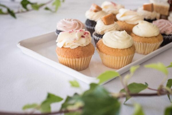 Catering 15